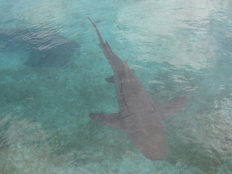 Curacao 04-12 211.JPG